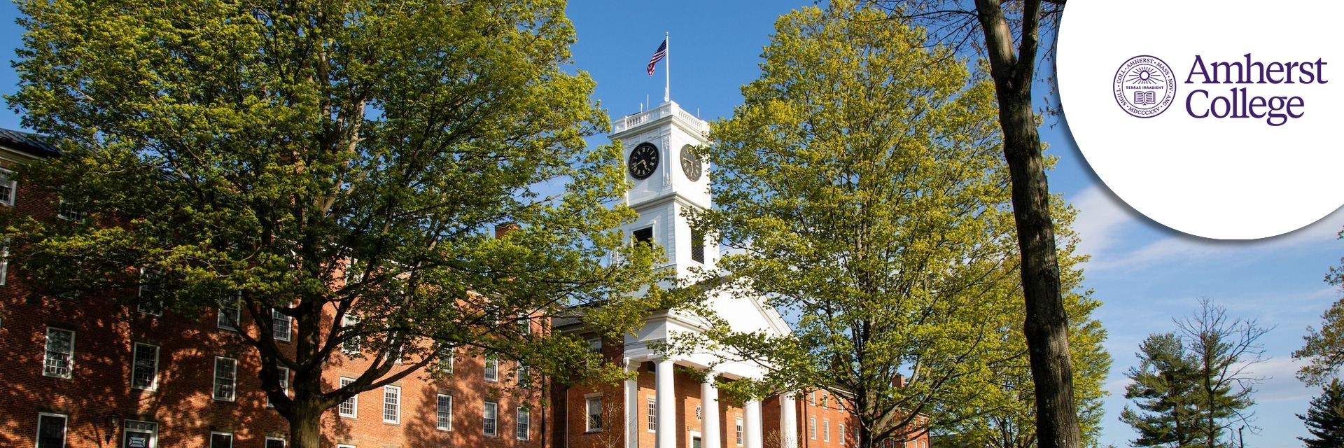 Assistant Vice President for Development