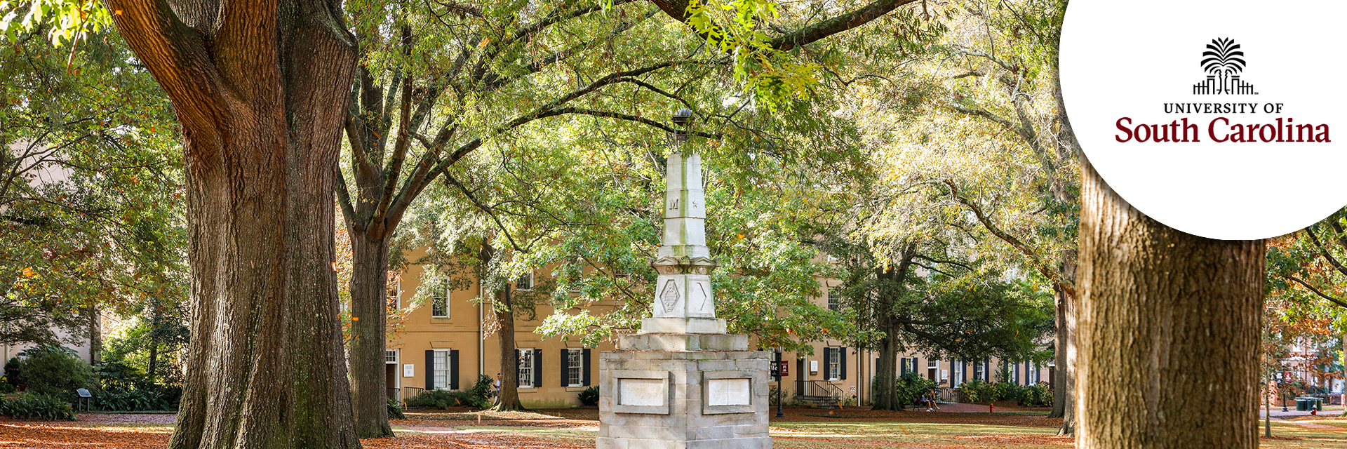 Associate Vice President, Knowledge and Insights