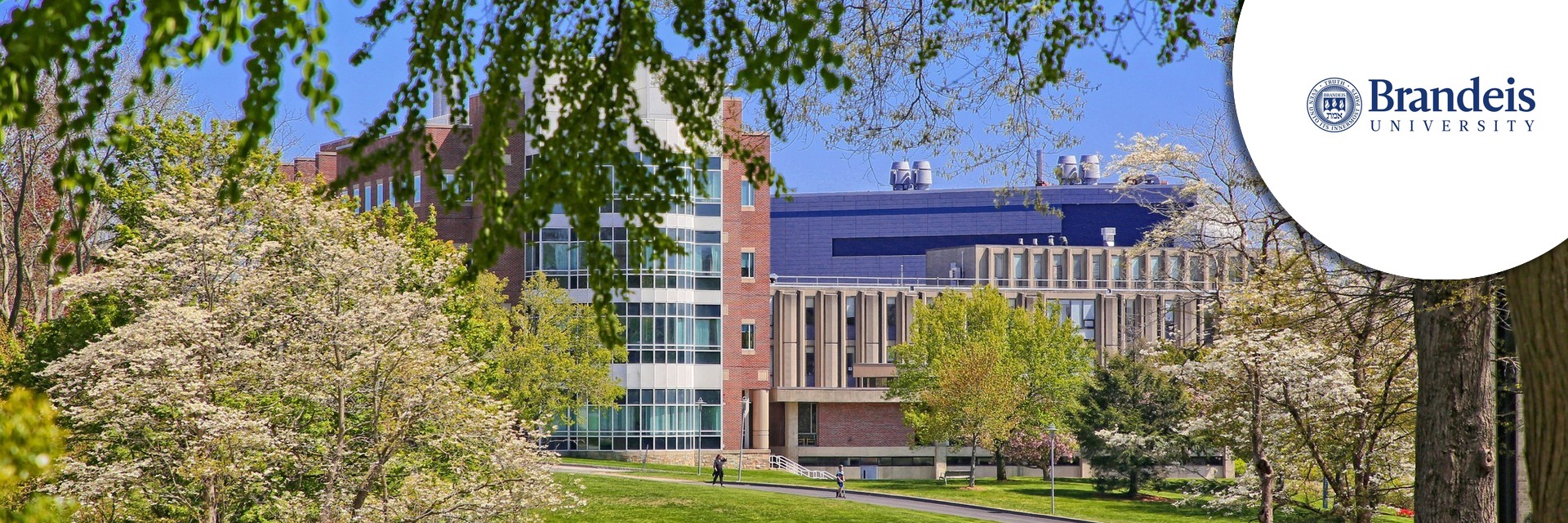 Assistant Vice President, IA Systems, Operations, & Administration