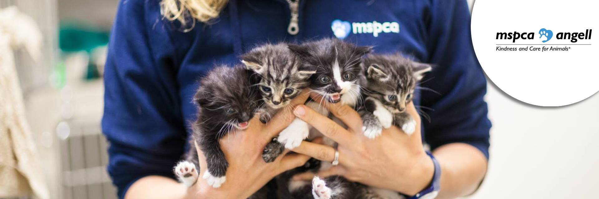 Chief Development Officer