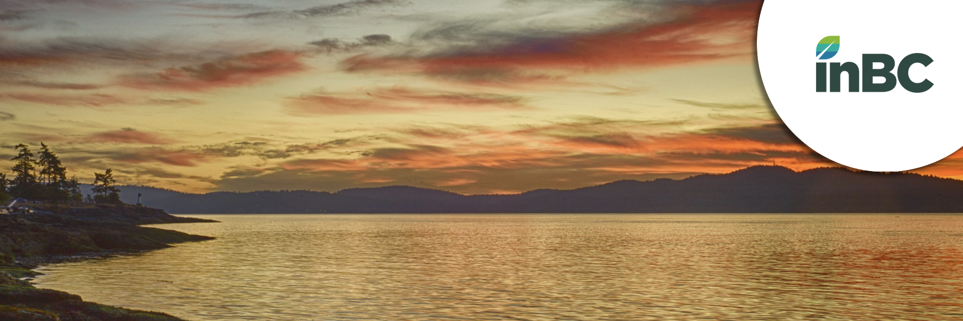 Chief Investment Officer