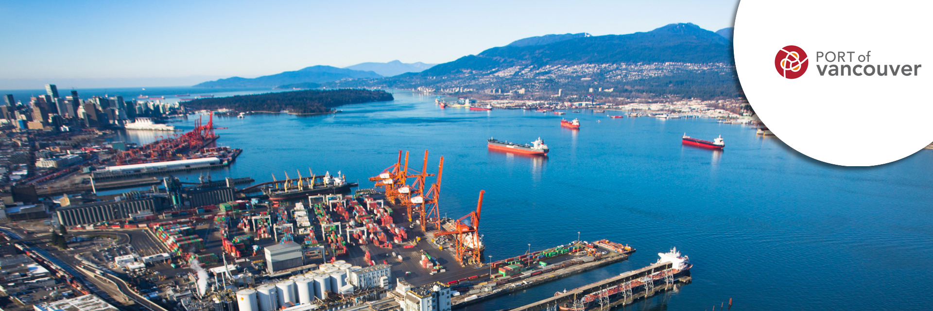 Director, Supply Chain Optimization