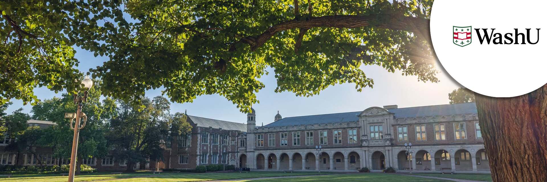 Executive Director of Advancement, Brown School