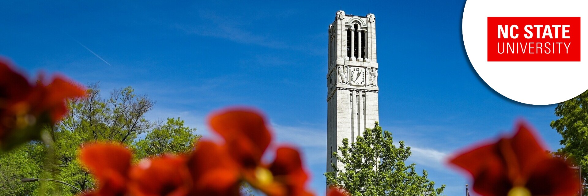 Executive Director of Advancement Information and Technology