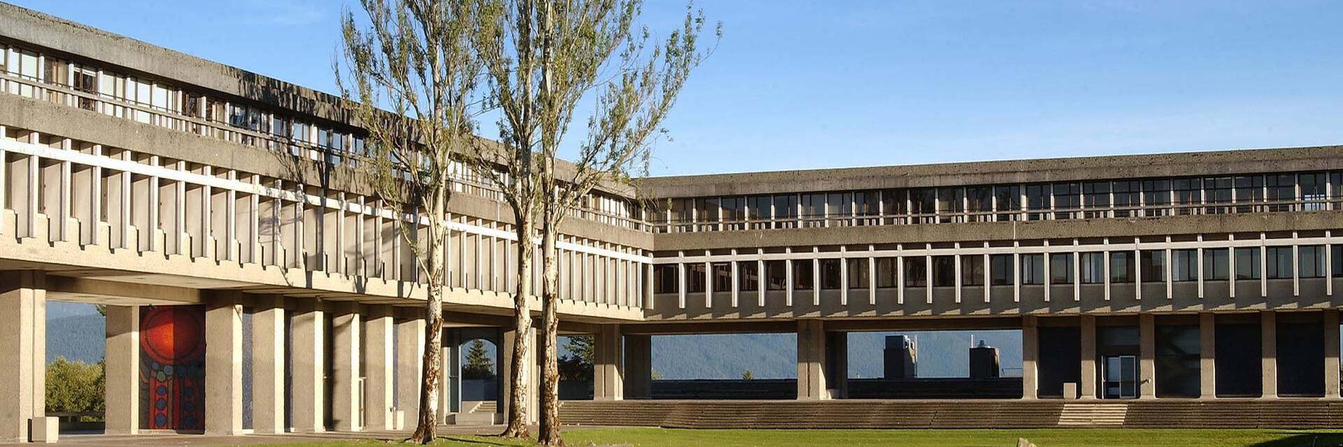 Executive Director, People and Organization Development