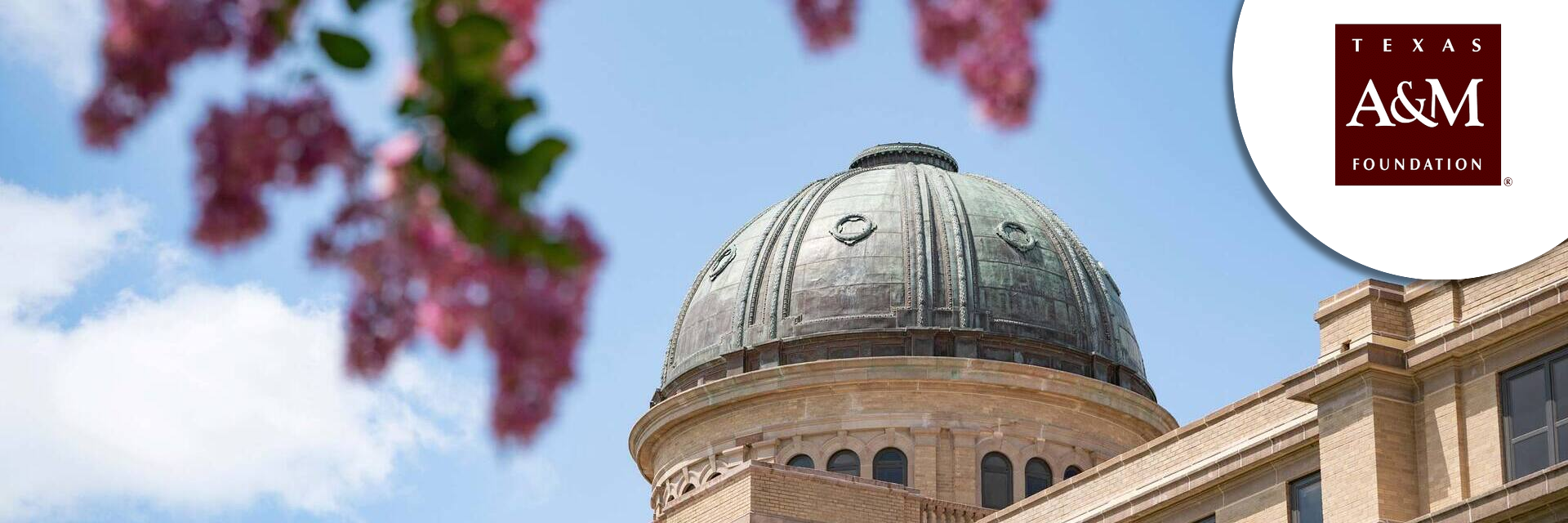 Senior Director of Development