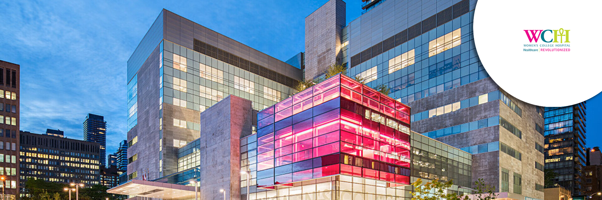 Vice-President, Academics