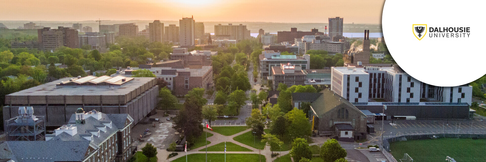 Vice-President, Advancement