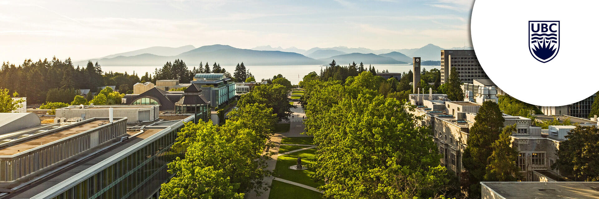 Vice President, Research & Innovation