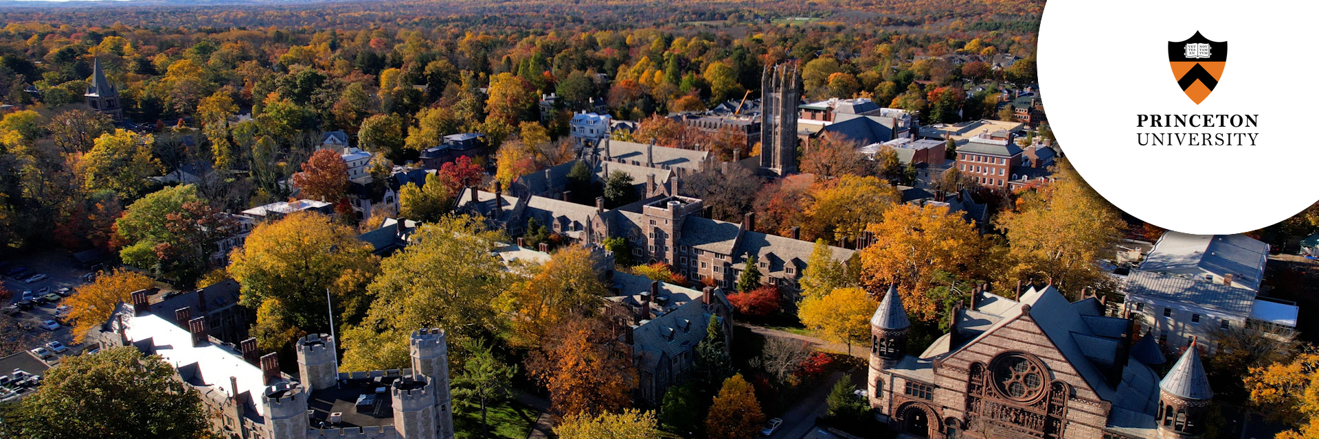 Associate CIO, Project and Technology Consulting Office