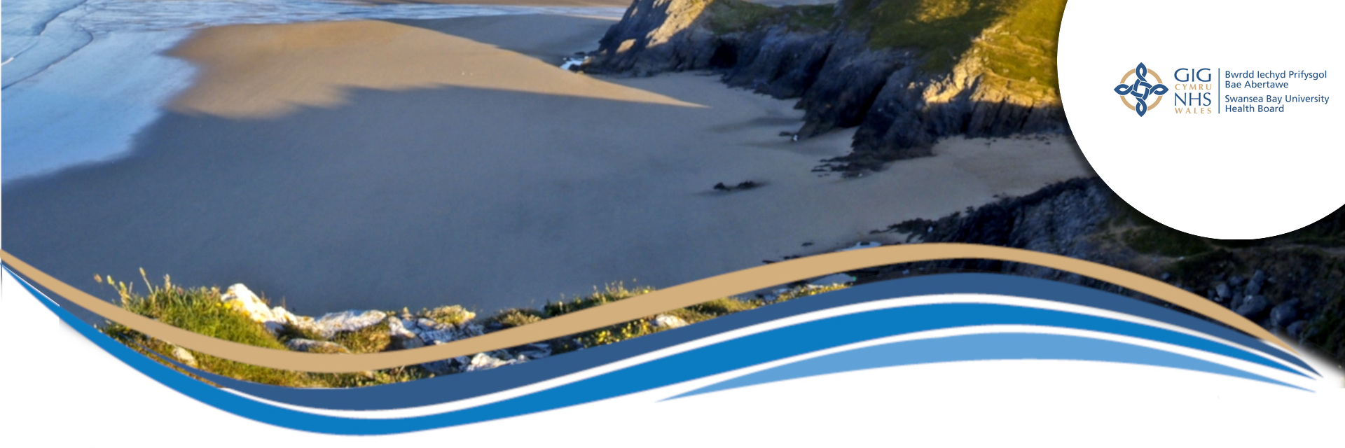 Prif Swyddog Gweithredol