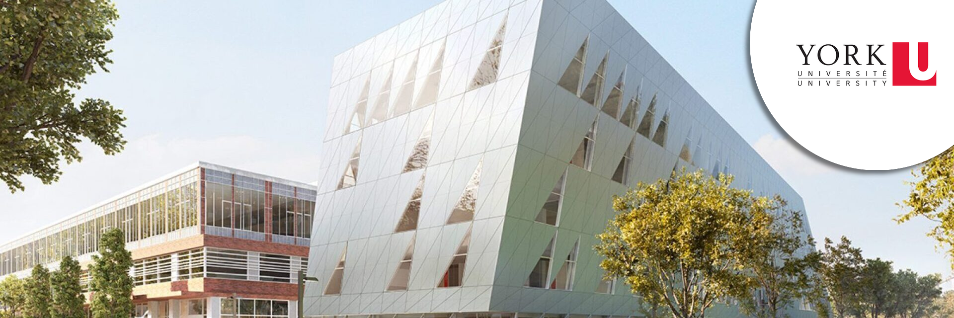 Assistant Vice-President, Continuing Studies