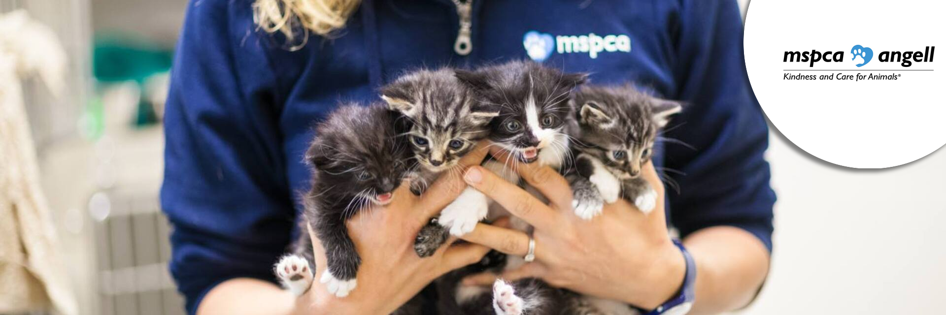 Chief Development Officer