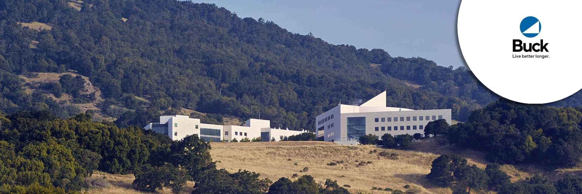 Chief Financial Officer