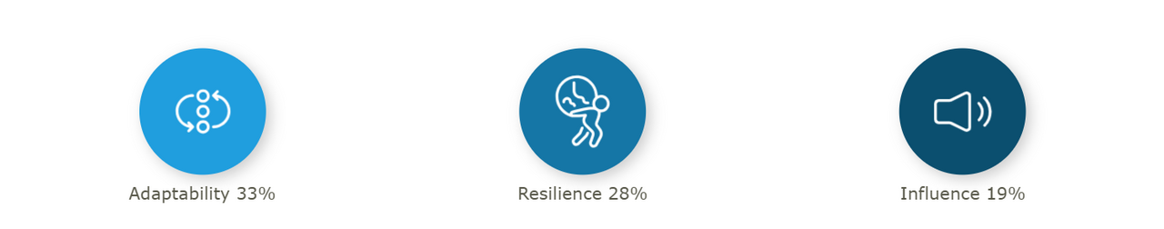 Boyden poll data show that adaptability, resilience and influence are the top three most important skills in assessing portco candidates