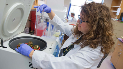 Commitment to the Common Good