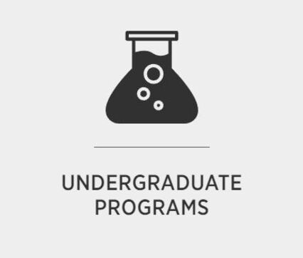 UNDERGRADUATE PROGRAMS