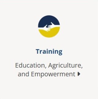 Training