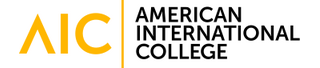 American International College
