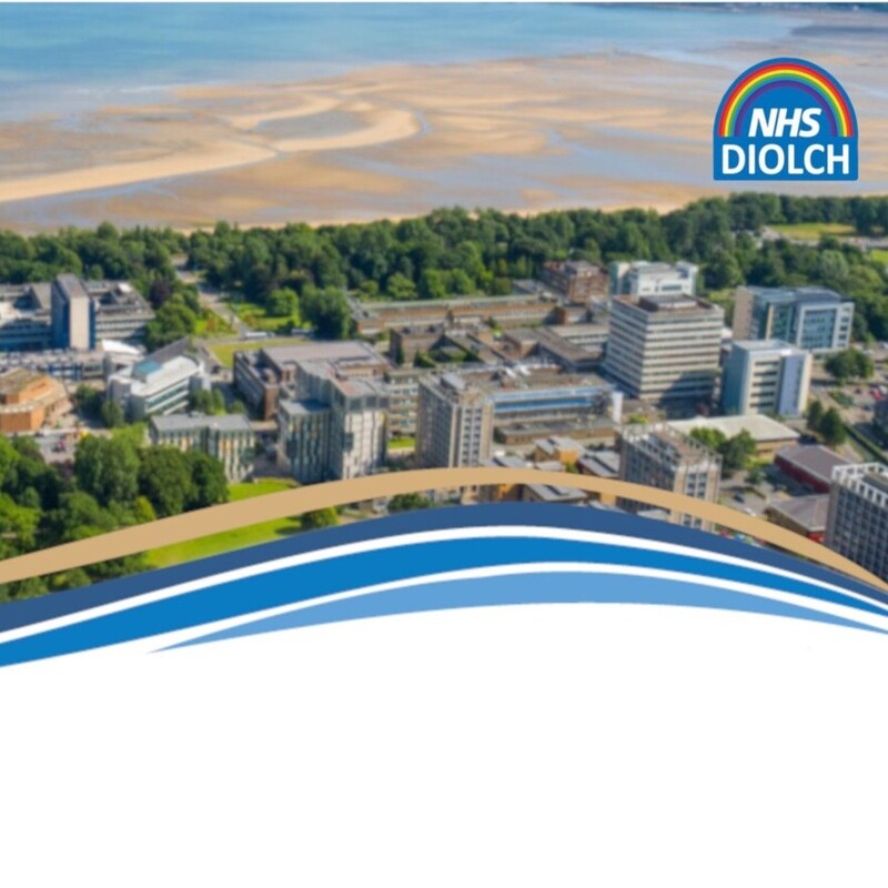 Gwybodaeth am Fwrdd Iechyd Prifysgol Bae Abertawe