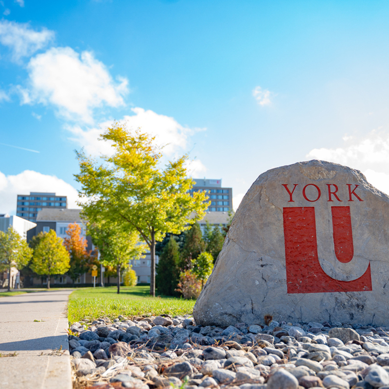 About York University