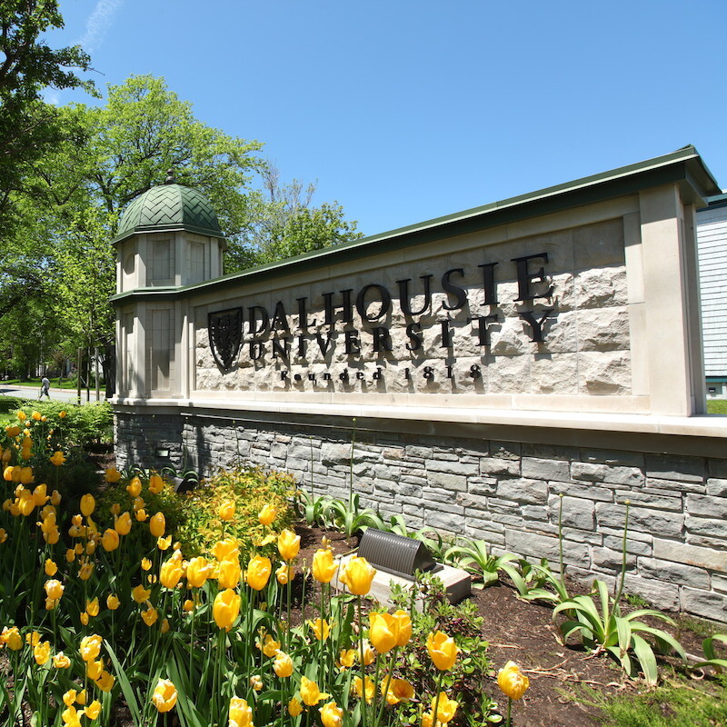 About Dalhousie University