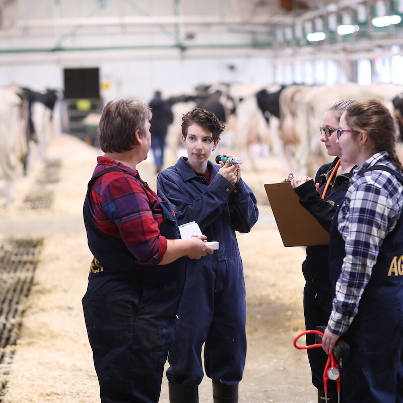 The Vice President, Advancement