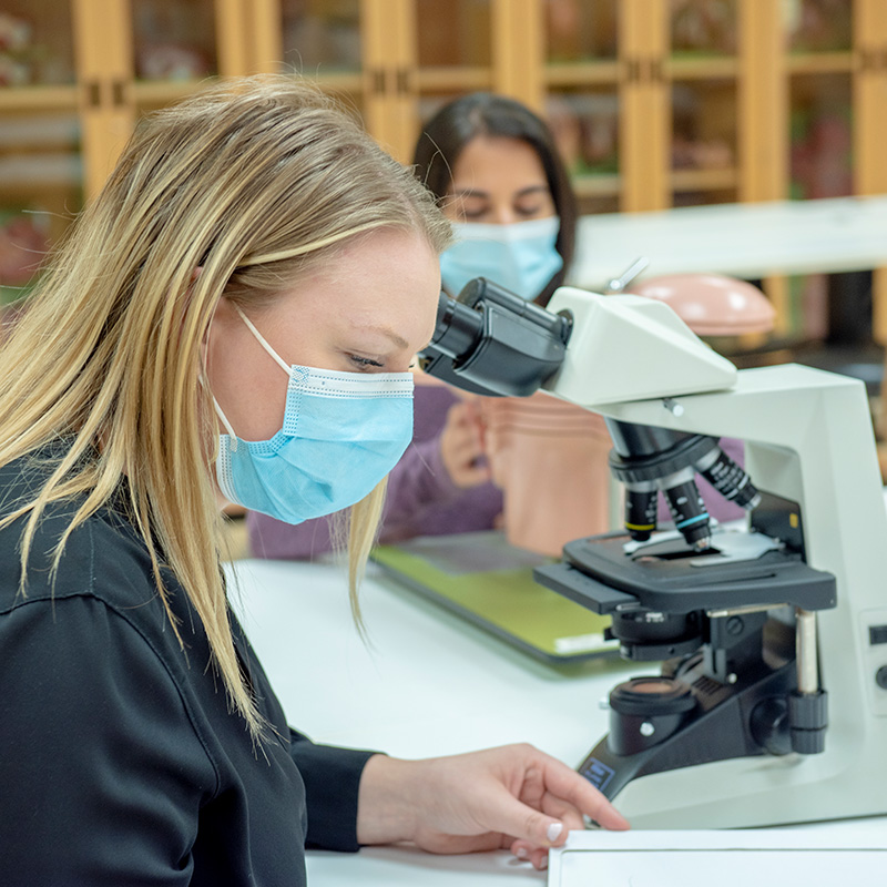 About NOSM University