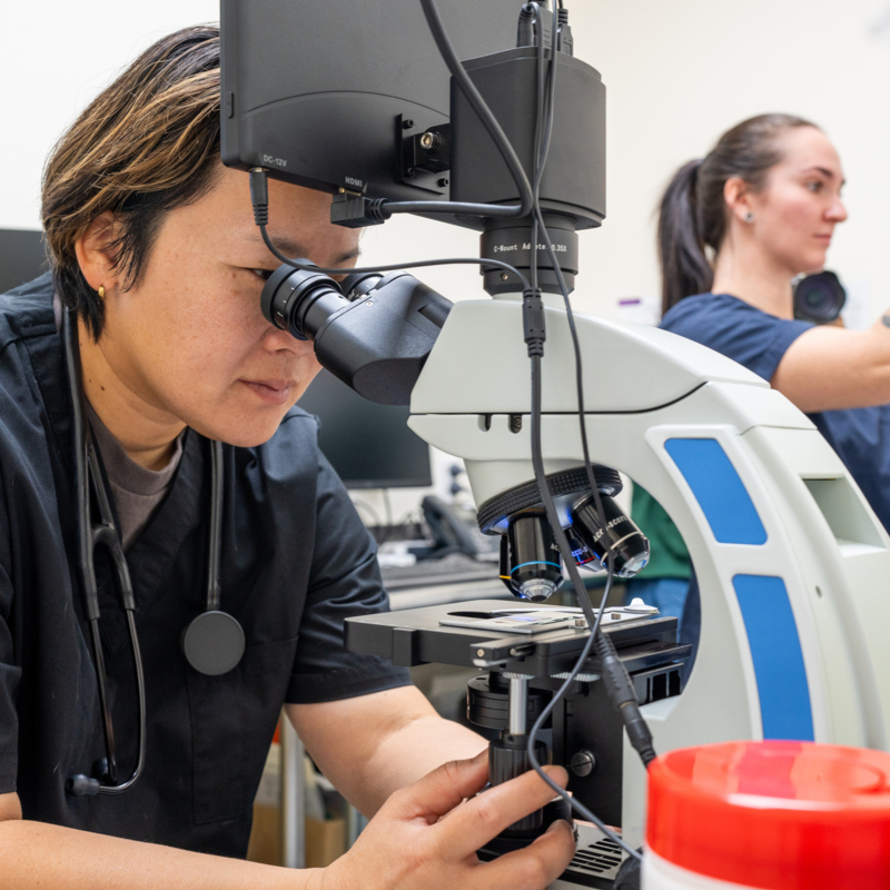 AI in Drug Discovery