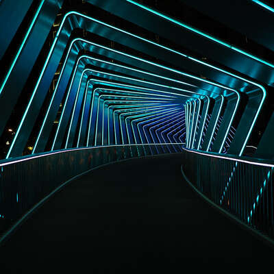 Bridging Cultures, Building Leaders: Creating a U.S. Team for a Global Manufacturing Pioneer