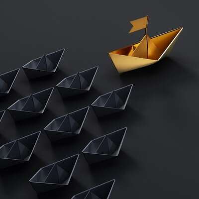 Interim Project Manager - PE Portfolio Company, Pharmaceutical Industry