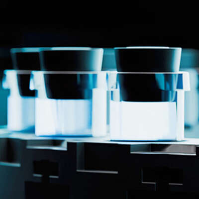 Seamless Collaboration Delivers Interim Site Quality Director